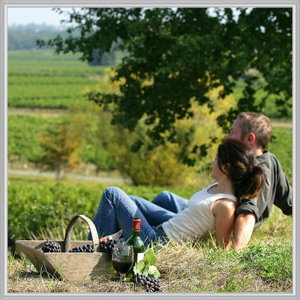 Wine Diva Tours - Accommodation Fremantle 9