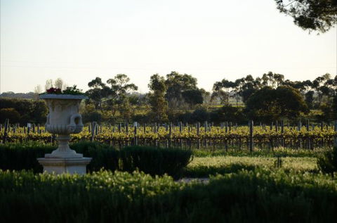 Angas Plains Estate Wines Heritage Suite - Accommodation Fremantle 6