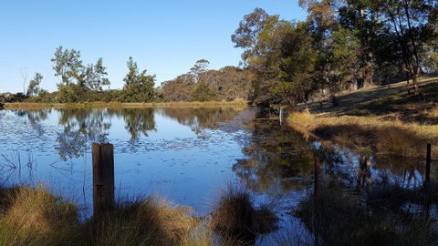 Blueberry Hills On Comleroy - Accommodation Fremantle 8
