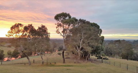 Blueberry Hills On Comleroy - Accommodation Fremantle 9