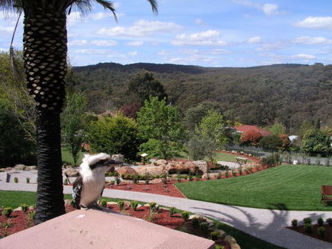 Grange Bellinzona - Accommodation Fremantle 4