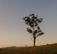 Faulls Ridge Winery - Accommodation Fremantle