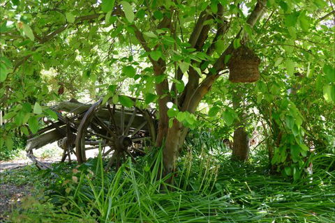 Willowbrook Heritage Bed & Breakfast - Accommodation Fremantle 7