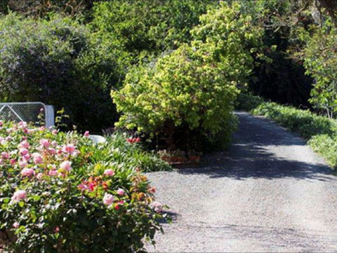 Brown's House Bed & Breakfast - Accommodation Fremantle 3
