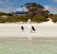 Kangaroo Island Star Beach House - Accommodation Fremantle