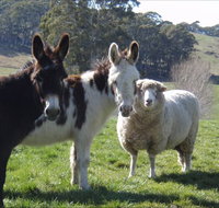 Avaleigh Elms Farmstay - Accommodation Fremantle