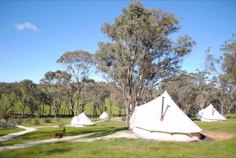 Cosy Tents - Accommodation Fremantle 5