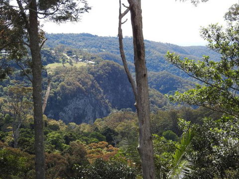 Mt Tamborine Motel - Accommodation Fremantle 0