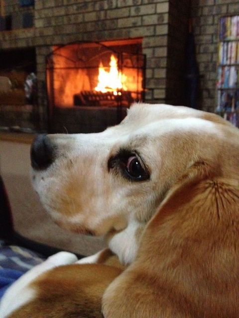 The Retreat On Matthew - Accommodation Fremantle 2