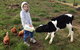 Yalooka Farm - thumb 8