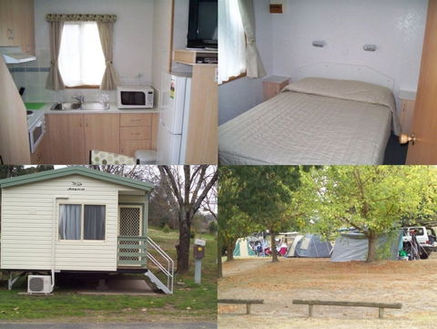 Adelong Golden Gully Caravan Park - Accommodation Fremantle 4
