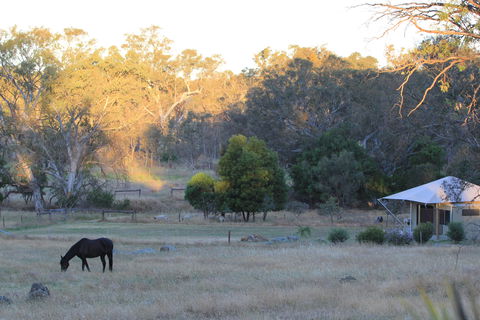 Boongarrie Luxury Tent - Accommodation Fremantle 7