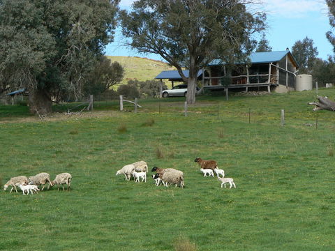 Gaddleen Grove Cottages - Accommodation Fremantle 0