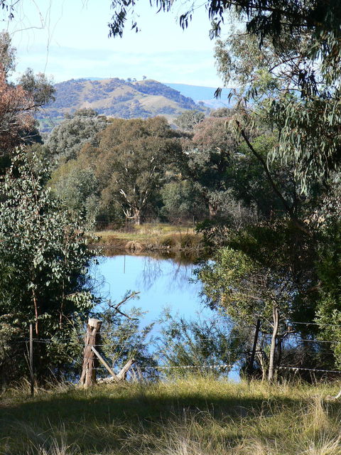 Gaddleen Grove Cottages - Accommodation Fremantle 6