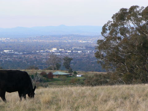 Gaddleen Grove Cottages - Accommodation Fremantle 8