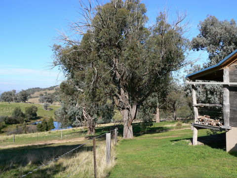 Gaddleen Grove Cottages - Accommodation Fremantle 9