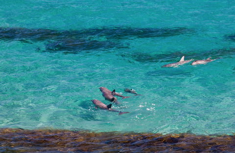 Headland On Kangaroo Beach - Accommodation Fremantle 8