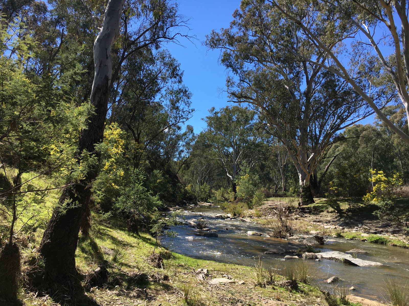 Mount Adrah NSW Accommodation Fremantle