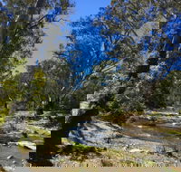 Highfield Farm and Woodland Bush Campsites - Accommodation Fremantle