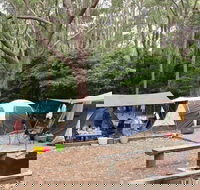 Pebbly Beach campground - Yuraygir National Park - Accommodation Fremantle