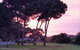 Lakeside Tourist Park - thumb 5