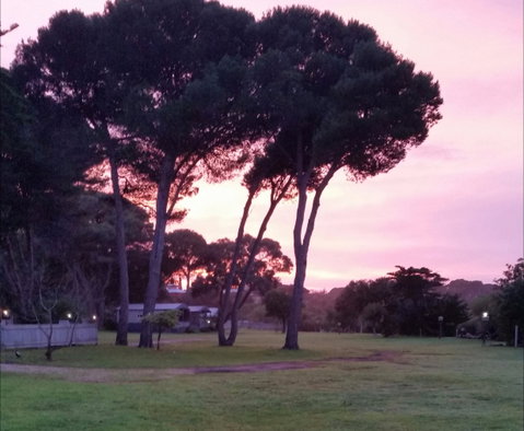 Lakeside Tourist Park - Accommodation Fremantle 5