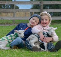 Narnu  Farm Farm stay/ School Camp - Accommodation Fremantle