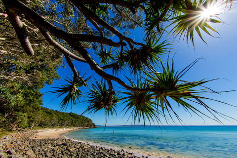 Noosa Caravan Park - Accommodation Fremantle 2