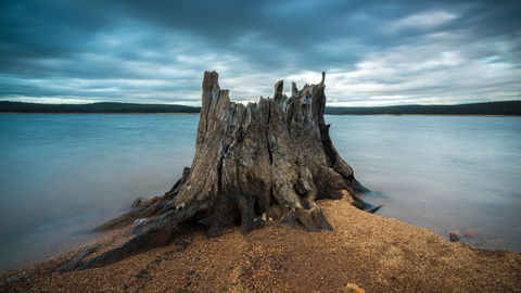 Potters Gorge - Accommodation Fremantle 4