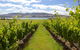 Riversdale Estate Cottages - thumb 1