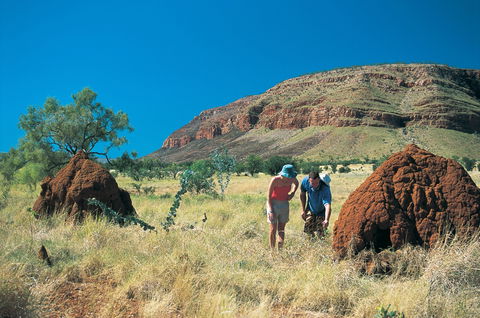 Silent Grove Camp At Wunaamin Miliwundi Ranges Conservation Park - Accommodation Fremantle 3