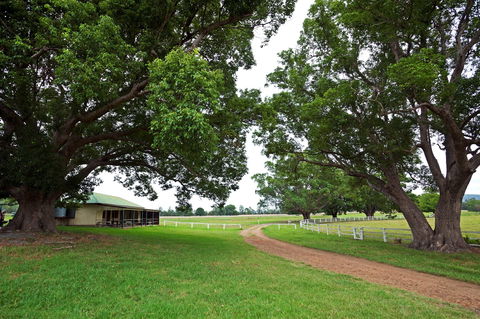 Copmanhurst Recreation Reserve - Accommodation Fremantle 0