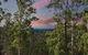 Gold Coast Tree Houses - thumb 2