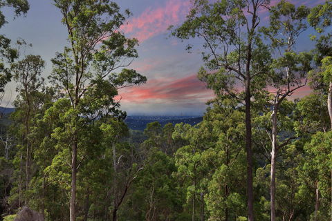 Gold Coast Tree Houses - Accommodation Fremantle 2