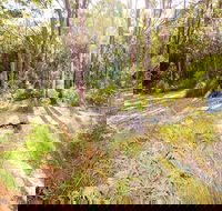 Mackaway Bay campground - Accommodation Fremantle