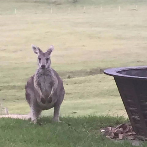 Valle Laguna - Accommodation Fremantle 4