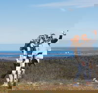 Cowell RV Park - Accommodation Fremantle