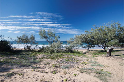 Deepwater National Park Camping - Accommodation Fremantle 0