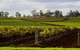 Estate Tuscany - thumb 0
