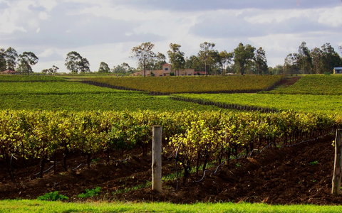 Estate Tuscany - Accommodation Fremantle 0