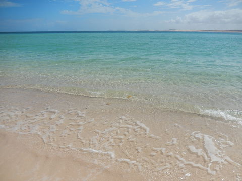 Gnaraloo Station - Accommodation Fremantle 0