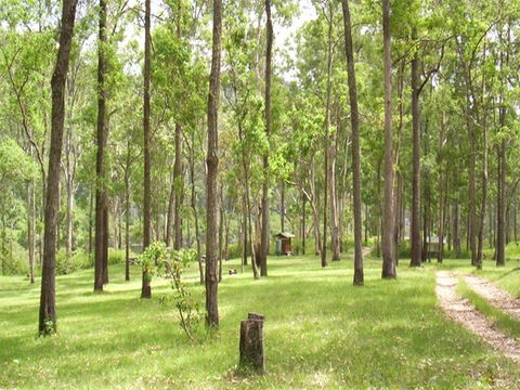 Nymboida River Campground - Accommodation Fremantle 0