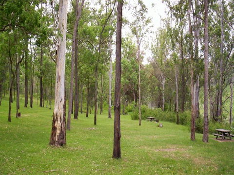 Nymboida River Campground - Accommodation Fremantle 1