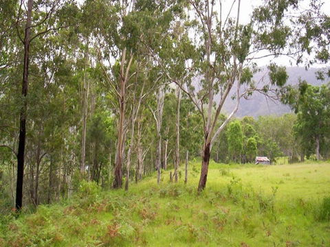 Nymboida River Campground - Accommodation Fremantle 2