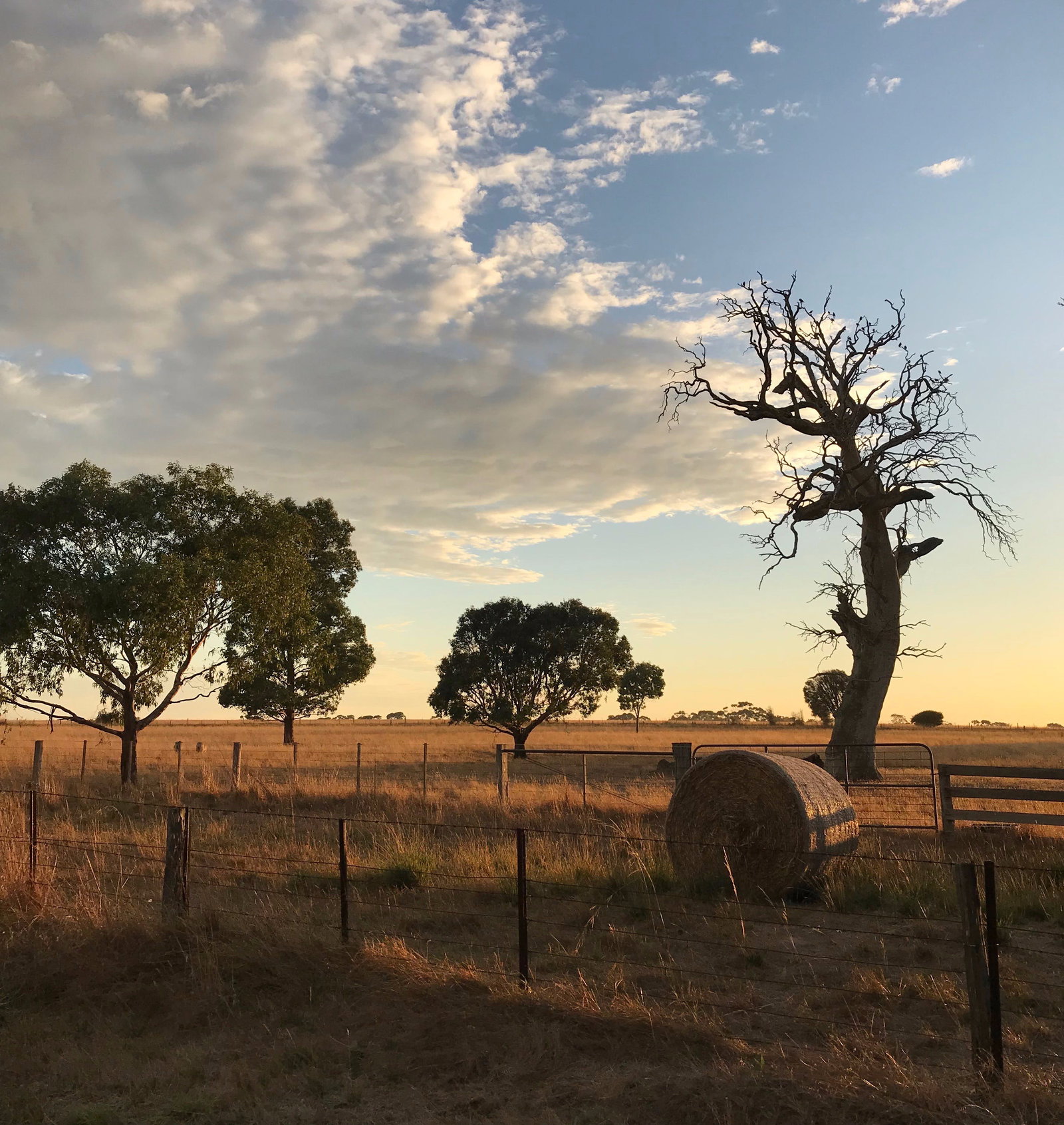 Stonehaven VIC Accommodation Fremantle