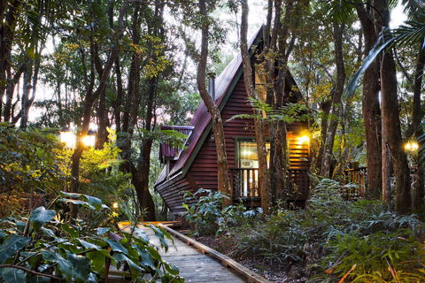 The Mouses House - Rainforest Retreat - Accommodation Fremantle 2