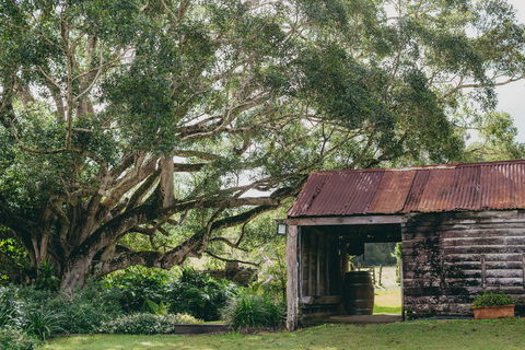 The Eumundi Dairy - Accommodation Fremantle 2