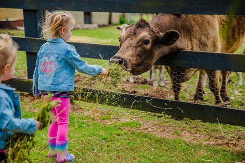 Tobruk Sydney Farm Stay - Accommodation Fremantle 2