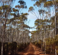 Victoria Rock Camp at Goldfields Woodlands National Park - Accommodation Fremantle