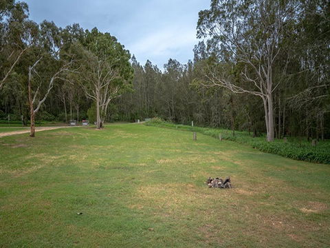 Violet Hill Campground And Picnic Area - Accommodation Fremantle 2